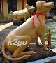 knol2go knol