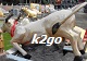 knol2go knol