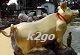 knol2go knol