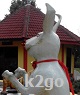 knol2go knol