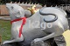 knol2go knol