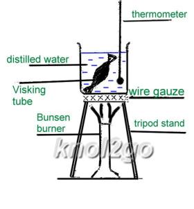 Visking tube knol knol2go knol