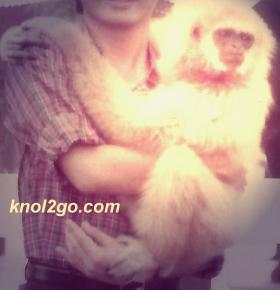 knol2go knol