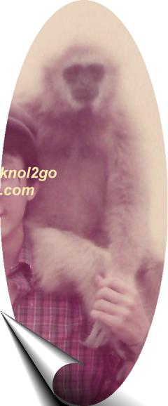 knol2go knol