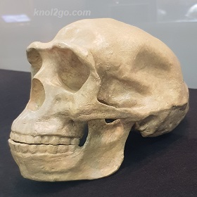 knol2go knol