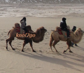 knol2go knol