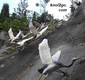 knol2go knol