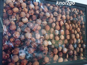 knol2go knol