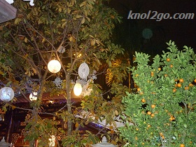 knol2go knol
