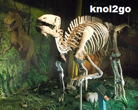 knol2go knol