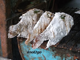 knol2go knol