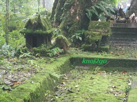 knol2go knol