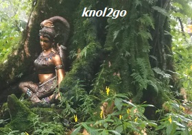 knol2go knol
