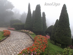 knol2go knol