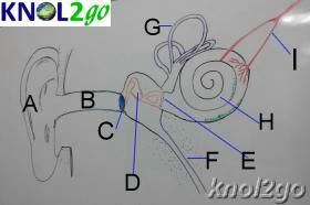 knol2go knol