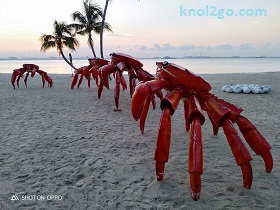 knol2go knol