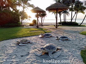 knol2go knol