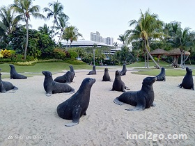 knol2go knol