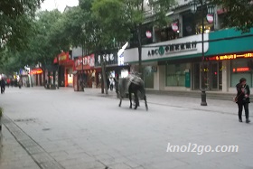 knol2go knol
