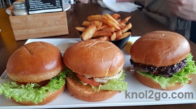 knol2go knol
