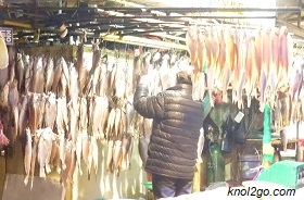 knol2go knol