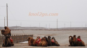 knol2go knol