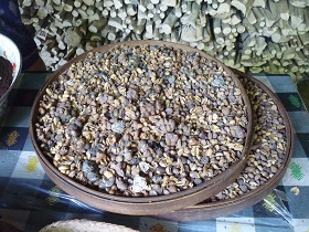 kopiluwak