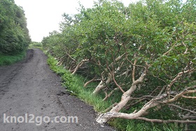 knol2go knol