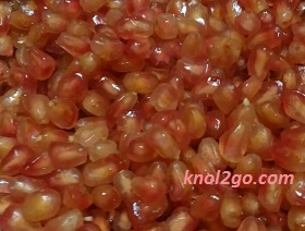 knol2go knol