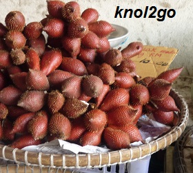 knol2go knol