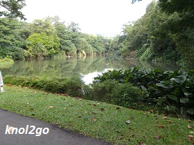 knol2go knol