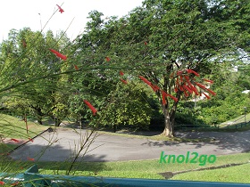 knol2go knol