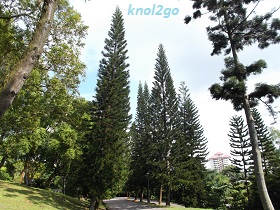 knol2go knol