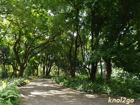 knol2go knol