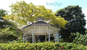 knol2go knol