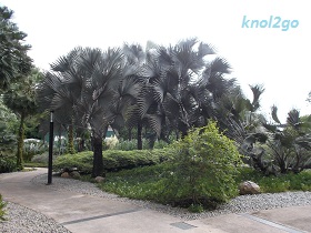 knol2go knol
