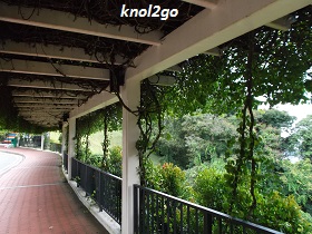 knol2go knol