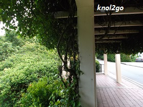 knol2go knol