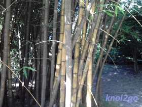 knol2go knol