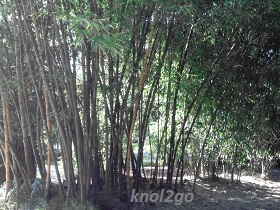 knol2go knol