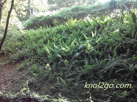 knol2go knol